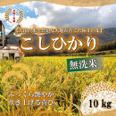 ＜令和7年産＞山崎農園のこしひかり(無洗米・10kg)&nbsp;【鳥取県&nbsp;境港市】