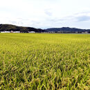＜令和7年産＞大上農園のきぬむすめ(無洗米・10kg)&nbsp;【鳥取県&nbsp;境港市】