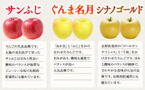 信州りんご・前島農家おすすめりんご（サンふじ・シナノゴールド・名月）約5kg（12個～16個）｜&nbsp;りんご&nbsp;食べ比べ&nbsp;詰め合わせ&nbsp;信州産&nbsp;人気&nbsp;おすすめ&nbsp;サンふじ&nbsp;シナノゴールド&nbsp;名月&nbsp;果物&nbsp;フルーツ&nbsp;旬&nbsp;蜜入り&nbsp;甘い&nbsp;ジューシー&nbsp;長野県&nbsp;長野市&nbsp;信州&nbsp;信濃&nbsp;ふるさと納税