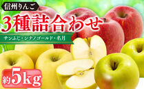 信州りんご・前島農家おすすめりんご（サンふじ・シナノゴールド・名月）約5kg（12個～16個）｜&nbsp;りんご&nbsp;食べ比べ&nbsp;詰め合わせ&nbsp;信州産&nbsp;人気&nbsp;おすすめ&nbsp;サンふじ&nbsp;シナノゴールド&nbsp;名月&nbsp;果物&nbsp;フルーツ&nbsp;旬&nbsp;蜜入り&nbsp;甘い&nbsp;ジューシー&nbsp;長野県&nbsp;長野市&nbsp;信州&nbsp;信濃&nbsp;ふるさと納税