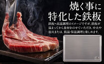 [たかが鉄板]を覆す　特殊鋼材を使った次の世代にも引き継げるTK鉄板