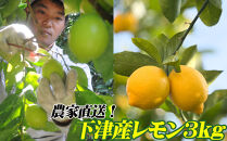 レモン&nbsp;約3kg&nbsp;大小混合サイズ&nbsp;11月～2月に鈴木みかん農園より農園直送！&nbsp;青いレモン&nbsp;黄色いレモン&nbsp;※北海道・沖縄・離島への配送不可