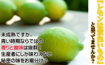レモン&nbsp;約3kg&nbsp;大小混合サイズ&nbsp;11月～2月に鈴木みかん農園より農園直送！&nbsp;青いレモン&nbsp;黄色いレモン&nbsp;※北海道・沖縄・離島への配送不可