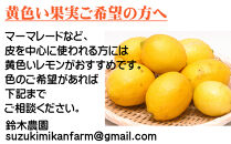 レモン&nbsp;約3kg&nbsp;大小混合サイズ&nbsp;11月～2月に鈴木みかん農園より農園直送！&nbsp;青いレモン&nbsp;黄色いレモン&nbsp;※北海道・沖縄・離島への配送不可