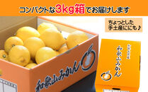 レモン&nbsp;約3kg&nbsp;大小混合サイズ&nbsp;11月～2月に鈴木みかん農園より農園直送！&nbsp;青いレモン&nbsp;黄色いレモン&nbsp;※北海道・沖縄・離島への配送不可