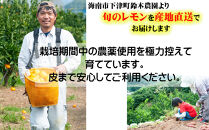 レモン&nbsp;約5kg&nbsp;大小混合サイズ&nbsp;ちょっと訳あり&nbsp;11月～2月に鈴木みかん農園より農園直送！&nbsp;青いレモン&nbsp;黄色いレモン&nbsp;※北海道・沖縄・離島への配送不可