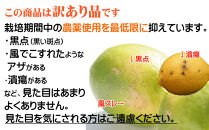 レモン&nbsp;約5kg&nbsp;大小混合サイズ&nbsp;ちょっと訳あり&nbsp;11月～2月に鈴木みかん農園より農園直送！&nbsp;青いレモン&nbsp;黄色いレモン&nbsp;※北海道・沖縄・離島への配送不可