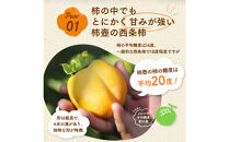 【柿専業の農家が作る】謹撰大玉西条柿の干し柿&nbsp;440g【11月下旬以降お届け】