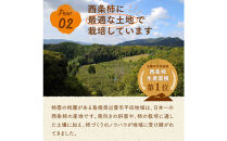 【柿専業の農家が作る】謹撰大玉西条柿の干し柿&nbsp;440g【11月下旬以降お届け】