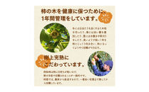 【柿専業の農家が作る】謹撰大玉西条柿の干し柿&nbsp;440g【11月下旬以降お届け】