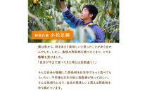 【柿専業の農家が作る】謹撰大玉西条柿の干し柿&nbsp;440g【11月下旬以降お届け】