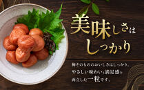 メディア掲載実績多数&nbsp;宝梅&nbsp;「結」&nbsp;うすしお味&nbsp;450g&nbsp;塩分5%&nbsp;紀州南高梅