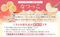長野市産甘さあふれる信州なつっこ2kg｜訳ありでも感動の果汁体験セット&nbsp;桃&nbsp;信州なつっこ&nbsp;訳あり&nbsp;長野市産&nbsp;人気&nbsp;おすすめ&nbsp;フルーツ&nbsp;果物&nbsp;もも&nbsp;なつっこ&nbsp;家庭用&nbsp;旬&nbsp;産地直送&nbsp;長野県&nbsp;長野市&nbsp;信州&nbsp;信濃&nbsp;ふるさと納税