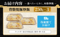 中華味一&nbsp;背脂焼豚炒飯&nbsp;3食パック（250g×3）