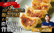 中華味一&nbsp;濃厚肉汁&nbsp;背脂餃子&nbsp;20個（約620g）