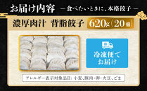 中華味一&nbsp;濃厚肉汁&nbsp;背脂餃子&nbsp;20個（約620g）
