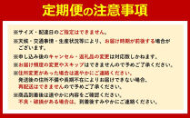 【&nbsp;5年間&nbsp;有田みかん&nbsp;3種&nbsp;食べくらべ&nbsp;／&nbsp;全15回&nbsp;】&nbsp;ちょっと&nbsp;傷あり&nbsp;2kg&nbsp;×&nbsp;3回&nbsp;×&nbsp;5年&nbsp;コース&nbsp;南泰園&nbsp;みかん