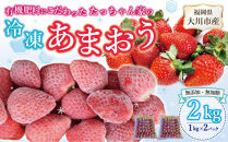 有機肥料にこだわった&nbsp;たっちゃん家の完熟冷凍あまおう　1kg×2袋　計2kg