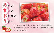有機肥料にこだわった&nbsp;たっちゃん家の完熟冷凍あまおう　1kg×2袋　計2kg