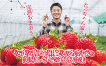有機肥料にこだわった&nbsp;たっちゃん家の完熟冷凍あまおう　1kg×2袋　計2kg