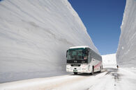 立山黒部アルペンルート&nbsp;片道優待券&nbsp;1枚&nbsp;（立山駅→扇沢駅）｜アルペンルート&nbsp;旅行&nbsp;絶景&nbsp;観光&nbsp;チケット&nbsp;室堂&nbsp;黒部ダム&nbsp;雪の大谷&nbsp;みくりが池&nbsp;大観峰&nbsp;黒部平&nbsp;立山連峰&nbsp;絶景&nbsp;レジャー&nbsp;山岳&nbsp;鉄道&nbsp;ロープウェイ&nbsp;ケーブルカー&nbsp;扇沢&nbsp;黒部ダム&nbsp;おすすめ&nbsp;人気&nbsp;送料無料&nbsp;長野県&nbsp;大町市&nbsp;信州&nbsp;信濃&nbsp;ふるさと納税