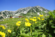 立山黒部アルペンルート&nbsp;片道優待券&nbsp;1枚&nbsp;（扇沢駅→立山駅）｜アルペンルート&nbsp;旅行&nbsp;絶景&nbsp;観光&nbsp;チケット&nbsp;室堂&nbsp;黒部ダム&nbsp;雪の大谷&nbsp;みくりが池&nbsp;大観峰&nbsp;黒部平&nbsp;立山連峰&nbsp;絶景&nbsp;レジャー&nbsp;山岳&nbsp;鉄道&nbsp;ロープウェイ&nbsp;ケーブルカー&nbsp;扇沢&nbsp;黒部ダム&nbsp;おすすめ&nbsp;人気&nbsp;送料無料&nbsp;長野県&nbsp;大町市&nbsp;信州&nbsp;信濃&nbsp;ふるさと納税