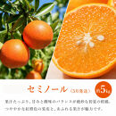 ［全3回&nbsp;定期便］紀州和歌山産旬のフルーツセット（セミノール・スイカ・桃）［UT151］
