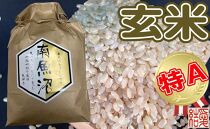 【定期便】玄米 南魚沼しおざわ産コシヒカリ2Kg×3ヶ月