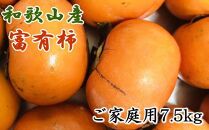 和歌山産富有柿ご家庭用約7.5kg【2022年10月下旬～発送】