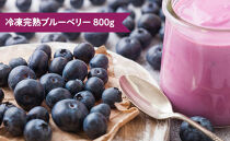 【農家直送！用途色々】冷凍完熟ブルーベリー800g