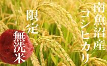 【令和7年産】【定期便】《無洗米》南魚沼産コシヒカリ4Kg×全6回