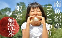 【令和7年産】【定期便】《無洗米》南魚沼産コシヒカリ8Kg×全12回