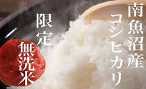 【令和7年産】【定期便】《無洗米》南魚沼産コシヒカリ10Kg×全12回
