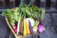 ＜オーガニック野菜＆燻製５種セット＞自家農場の有機野菜にこだわったフレンチシェフ特製