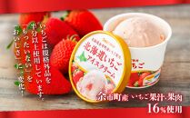 北海道いちごアイスクリーム 110ml×12個セット ギフト【ポイント交換専用】
