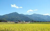 【令和7年産】南魚沼産塩沢コシヒカリ【従来品種】（特別栽培米８割減農薬）精米２ｋｇ