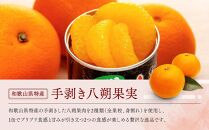 和歌山産手剥き八朔缶詰450g×8缶入り★2024年5月～順次発送【TM14】