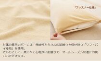 AA017　王様の夢枕 クラシック　(専用枕カバー付き)【104-000510-20】