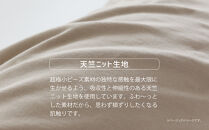 AA032　王様の抱き枕 標準サイズ（オレンジ）超極小ビーズ抱きまくら【500257】