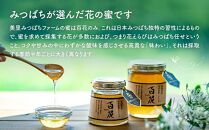 日本蜜蜂のハチミツ（300g）