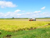 【令和3年度産】農薬・化学肥料節減米ひとめぼれ（精米5キロ×2）