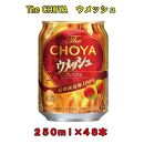 The CHOYAウメッシュ 250ml×２ケース（４８本）