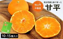 ★発送は1月～★中島産 甘平 10～15個入