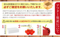 【先行予約】農家直送！&nbsp;品種お任せ&nbsp;&nbsp;Lサイズ&nbsp;バラ詰め1kg（500g×2パック）（2026年6月末から発送開始予定）水澤果樹園&nbsp;【&nbsp;さくらんぼ&nbsp;サクランボ&nbsp;果物&nbsp;くだもの&nbsp;フルーツ&nbsp;デザート&nbsp;旬&nbsp;お取り寄せ&nbsp;甘い&nbsp;北海道産&nbsp;人気&nbsp;ランキング&nbsp;北海道&nbsp;旭川市&nbsp;産地直送&nbsp;】_01179