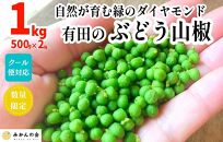 ぶどう山椒 １kg（500g×2箱） 実山椒 生山椒 クール便対応 和歌山県産