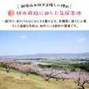 【先行予約】【夏の美味】フルーツ王国　和歌山の桃　約２kg【2023年6月中旬～7月下旬発送】【北海道・青森・秋田・岩手・沖縄・離島地域／発送不可】