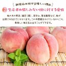 【先行予約】【夏の美味】フルーツ王国　和歌山の桃　約２kg【2023年6月中旬～7月下旬発送】【北海道・青森・秋田・岩手・沖縄・離島地域／発送不可】