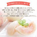 【先行予約】【夏の美味】フルーツ王国　和歌山の桃　約２kg【2023年6月中旬～7月下旬発送】【北海道・青森・秋田・岩手・沖縄・離島地域／発送不可】