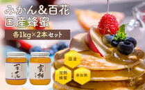 かの蜂 みかん＆百花 国産 蜂蜜 ビン セット 2kg（1kg×2） はちみつ