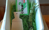 芸州吉和村 植本わさび本舗　生わさび ときめき初体験セット